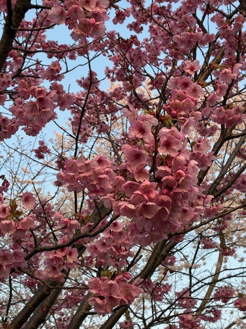 https://seikan-massage.com/2026.4.1c.jpg